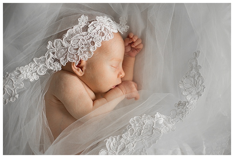 Newborn in Wedding Veil by Barnett Photography
