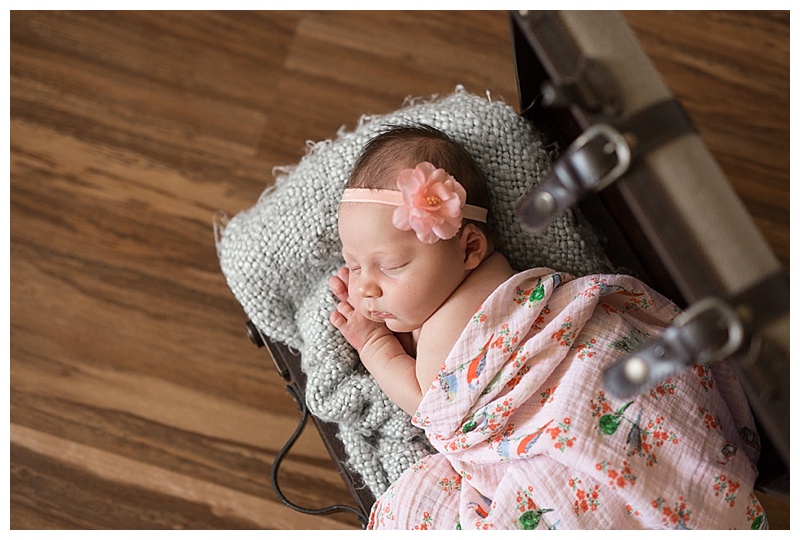 Kelowna-Newborn-Photographer-Barnett-Photography-3.jpg